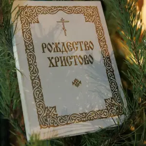 AGR_7039 копия