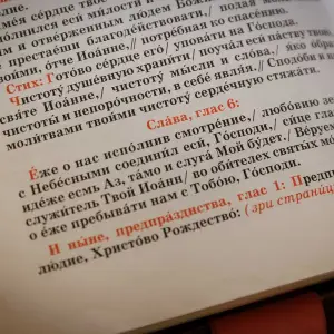 AGR_7061 копия