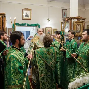 AGR_8033 копия