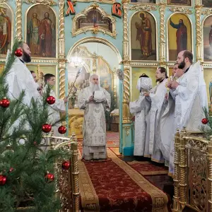 AGR_9197 копия
