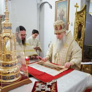 AGR_9356 копия