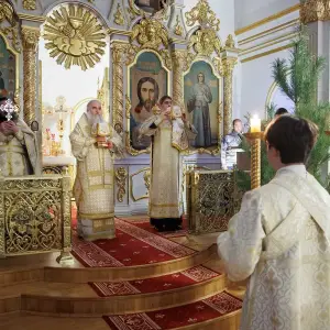 AGR_9494 копия