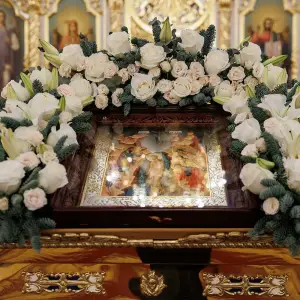 AGR_9644 копия