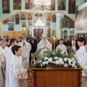 AGR_9767 копия