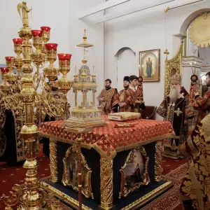 AGR_3312 копия