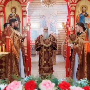 AGR_3636 копия