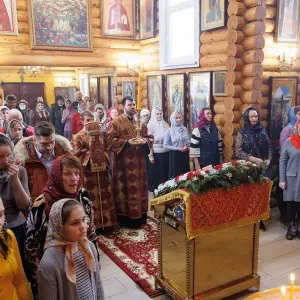 AGR_3981 копия