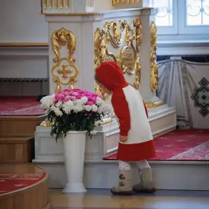 AGR_4401 копия