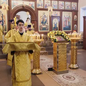 AGR_8006 копия