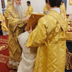 AGR_8809 копия