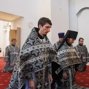 AGR_0991 копия