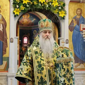 AGR_1193 копия