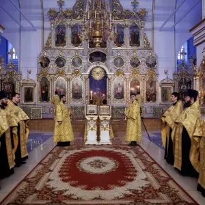 AGR_3113 копия