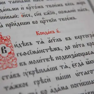AGR_4024 копия