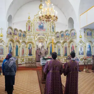 AGR_4131 копия