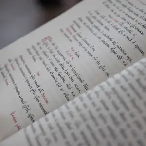 AGR_4478 копия