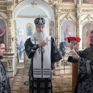 AGR_6352 копия