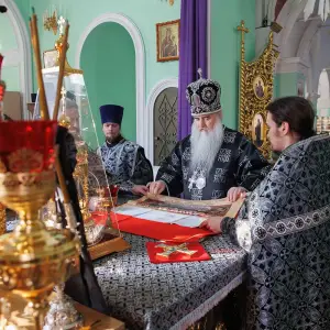AGR_6445 копия