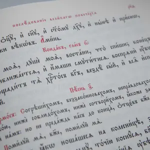 AGR_6684 копия