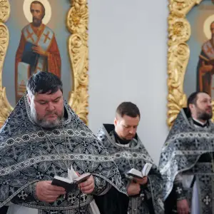 AGR_7081 копия