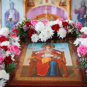 AGR_7272 копия
