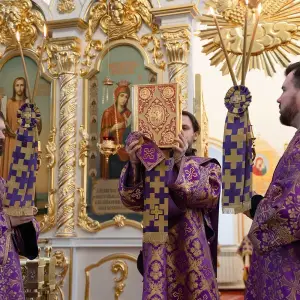 AGR_7648 копия