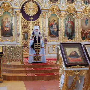 AGR_8549 копия