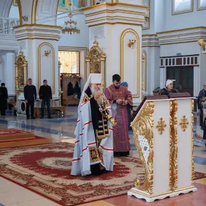 AGR_8624 копия