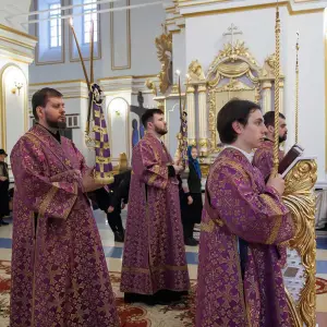 AGR_8781 копия