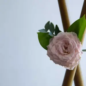 AGR_9144 копия