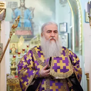 AGR_9240 копия