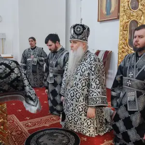 AGR_9433 копия