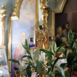 AGR_9529 копия