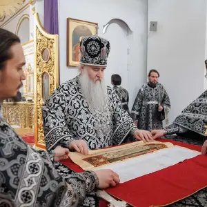 AGR_9533 копия