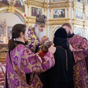 AGR_9635 копия