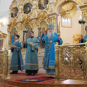 AGR_3113 копия
