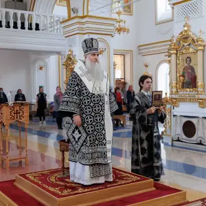 AGR_3729 копия
