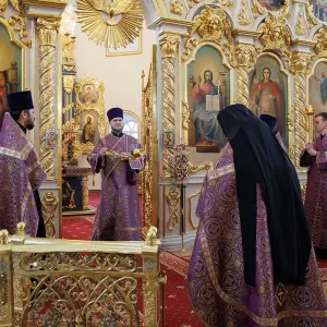 AGR_4116 копия