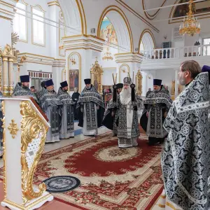AGR_4565 копия