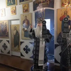AGR_5972 копия