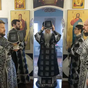 AGR_6561 копия