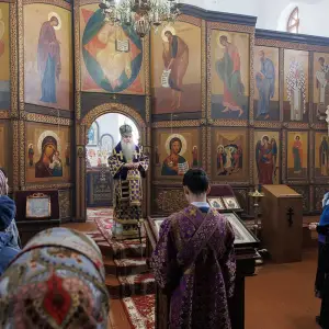 AGR_8524 копия