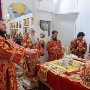 AGR_0445 копия