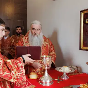 AGR_1761 копия