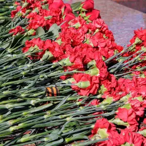AGR_2139 копия
