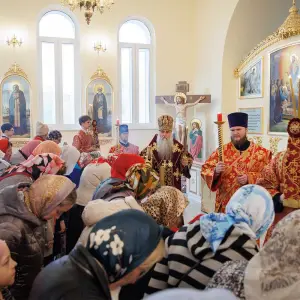AGR_2241 копия