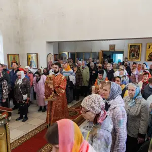 AGR_2431 копия