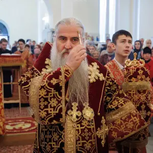 AGR_2478 копия