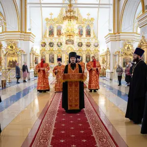 AGR_4595 копия