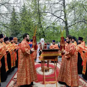 AGR_5467 копия
